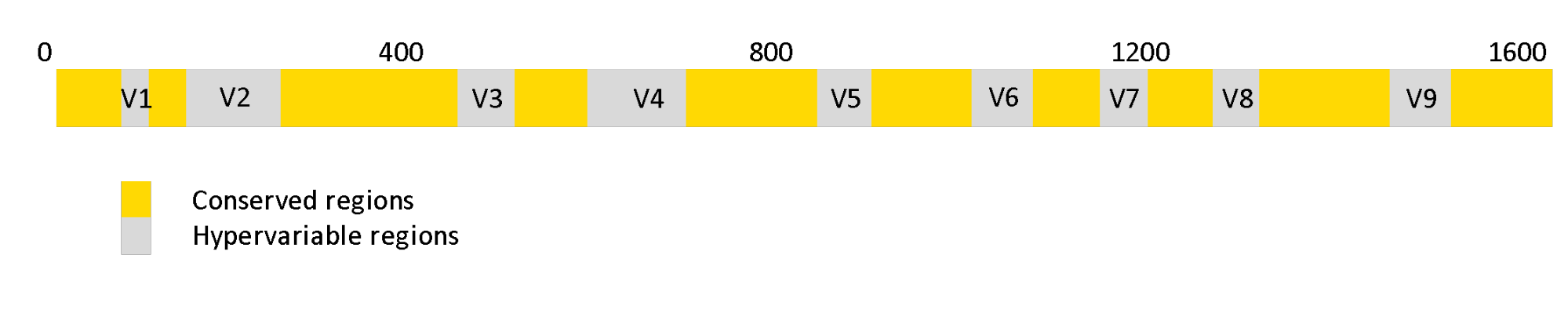 Microbiome Analysis with KNIME Analytics Platform