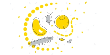 Gut Microbiome Analysis with KNIME Analytics Platform