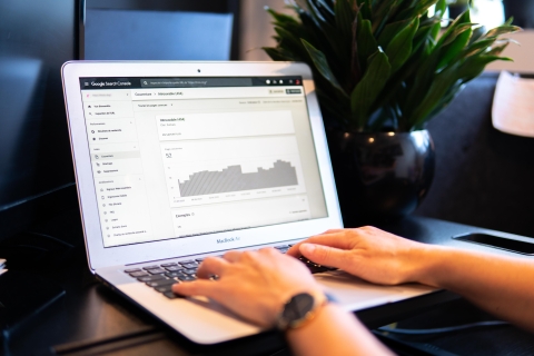 A Single Environment for the Entire Data Science Lifecycle