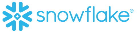 blue snowflake logo