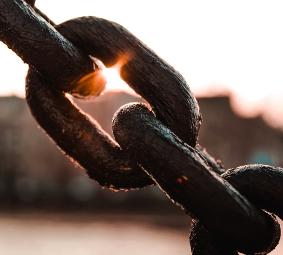 Resilient Manufacturing: Who's Not Suffering from Supply Chain Issues
