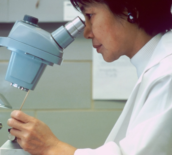 Maximize your (research) gains with proteomics