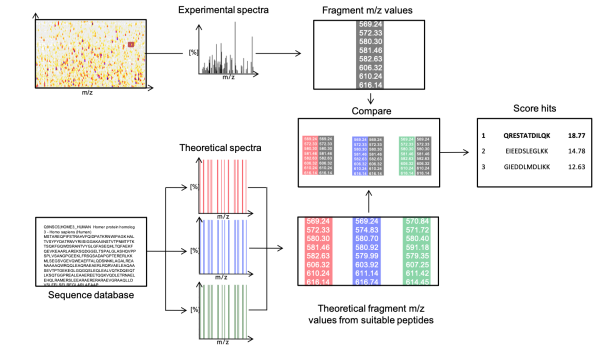 Protein Identification in mass spectra with KNIME
