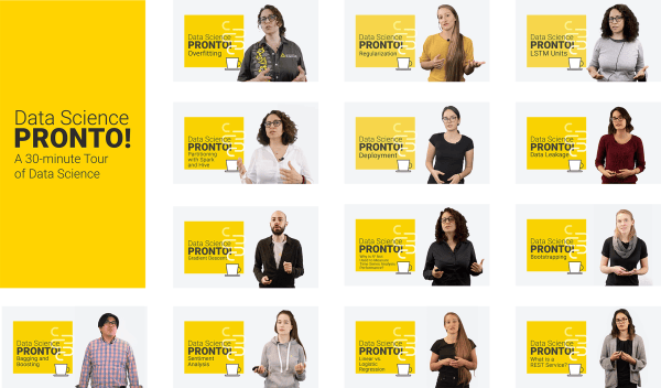 The Data Science Pronto Team