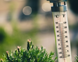 Image of thermometer